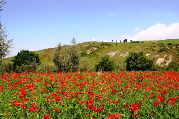 Stunning View over the Surrounding Countryside