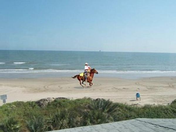 Horseback Riding on the Beach