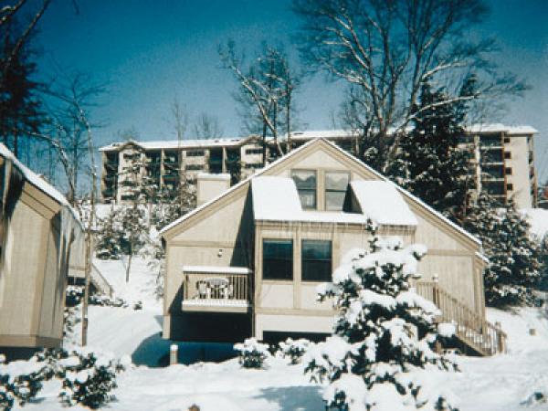 View in Winter