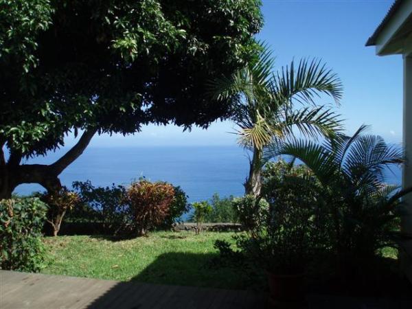 Beach View