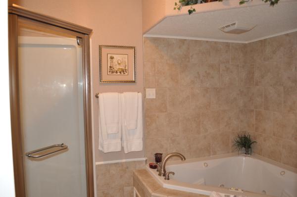 Over sized Jetted Tub and Seperate Shower
