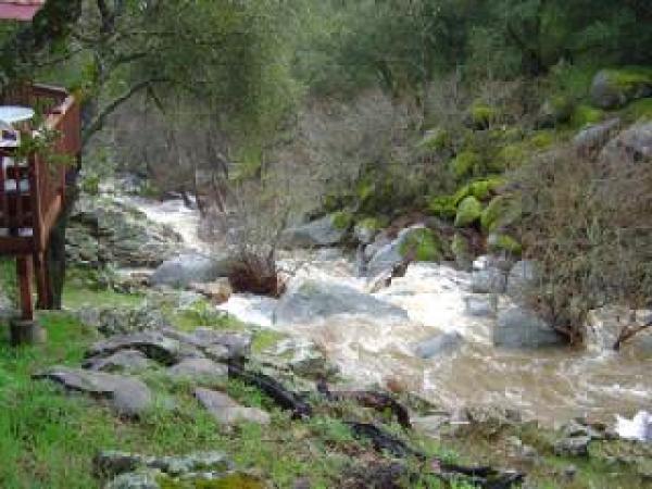 Winter Creek from the Deck 