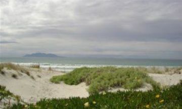Omaha Beach, Aukland, Vacation Rental House