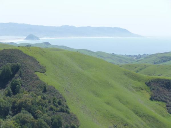 Spring at Morro Bay, the 