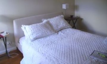 Cooks Beach, Whitianga, Vacation Rental House