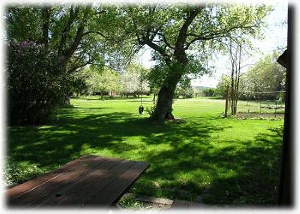 A lush yard with picnic table