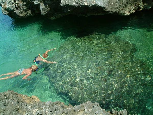 snorkeling down the house