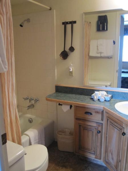 Silver Mine Themed Bathroom