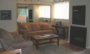 Telluride, Colorado, Vacation Rental Condo