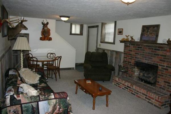 Living Room and Fireplace