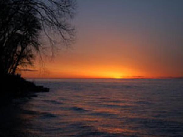 Sunset View