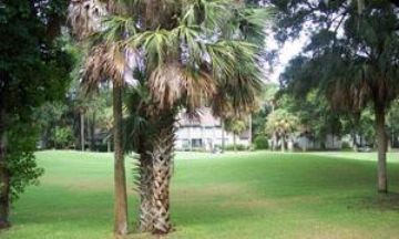 Hilton Head Island, South Carolina, Vacation Rental House