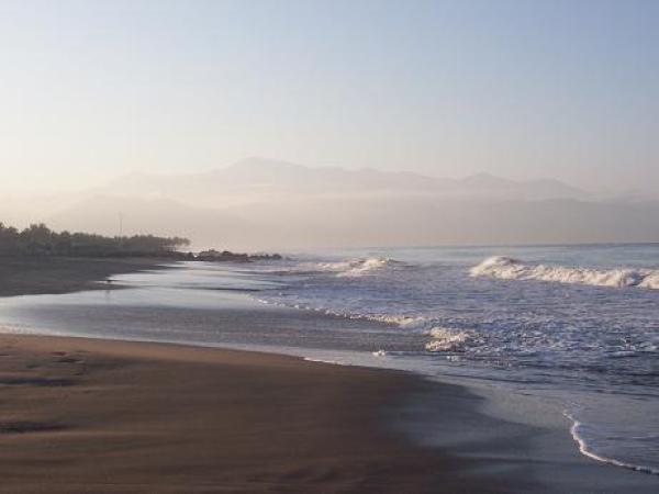 Beach View
