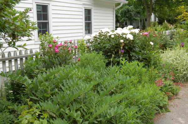 More gardens...