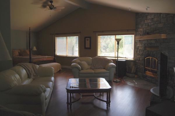 living room and bed area