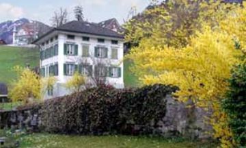 Sachseln, Obwalden , Vacation Rental Condo