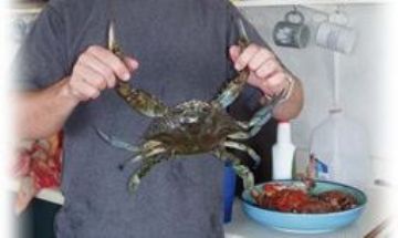 Horseshoe Beach, Florida, Vacation Rental House