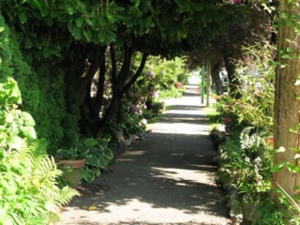 kitchener street