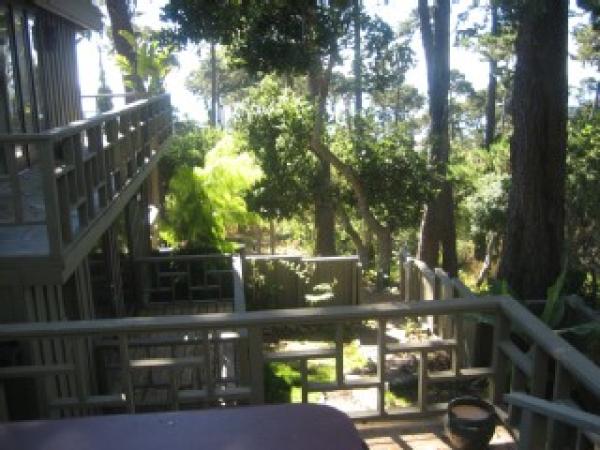 View from Deck