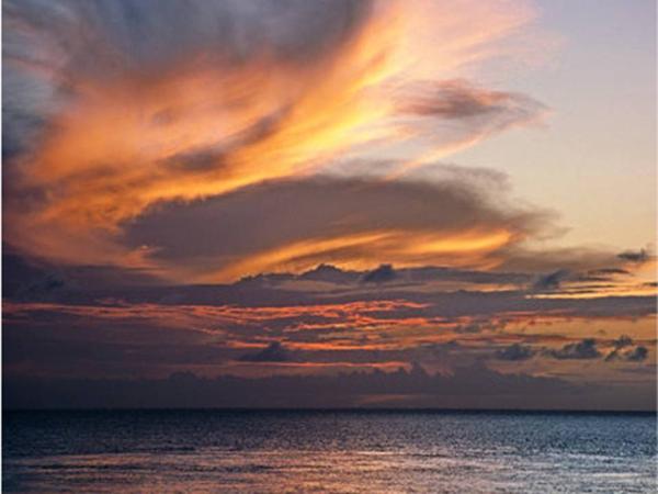 Another View from the Terrace