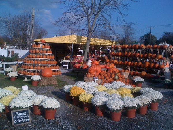 Nearby Farmstand