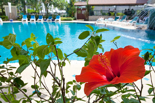 Phuket Vacation Rental Apartment