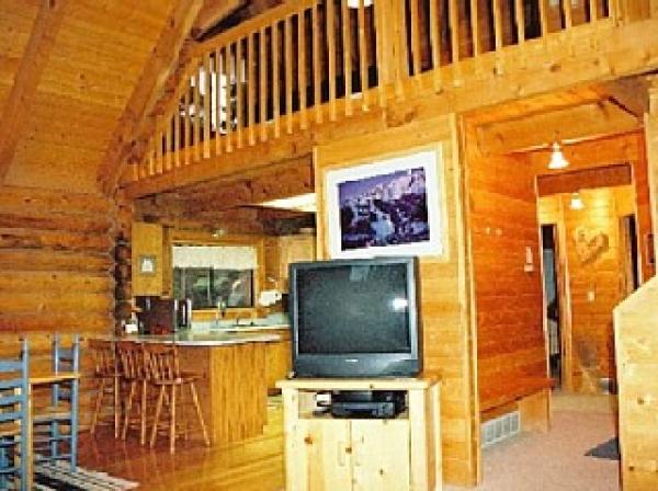 Living room on main level showing kitchen
