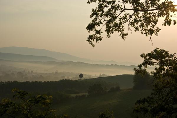 Landscape at dawn
