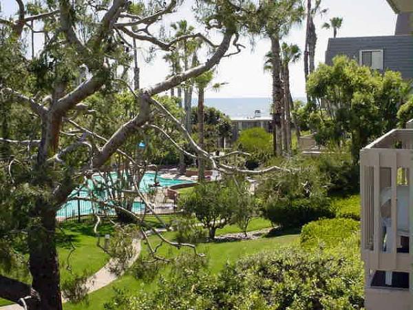 Ocean View from Condo