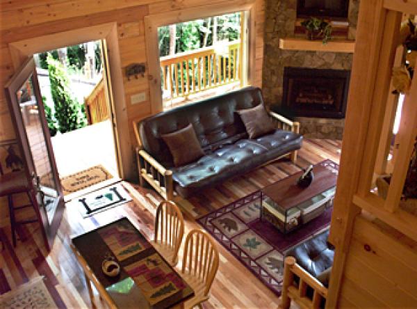 Fireplace and Living Room area with 2 queen futons