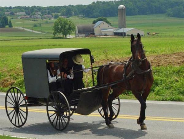 Amish Country