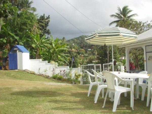 Yard view
