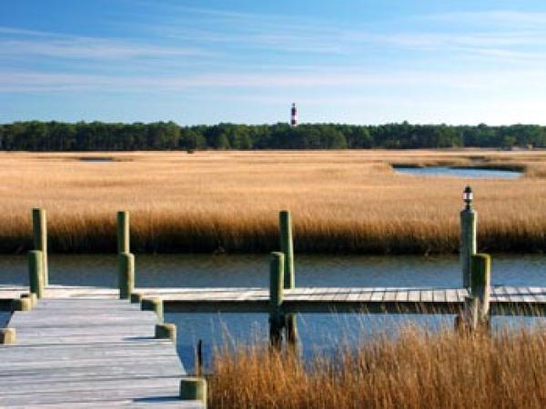 Assateague Channel From Dock