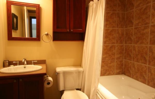 Master bathroom with jet tub and shower