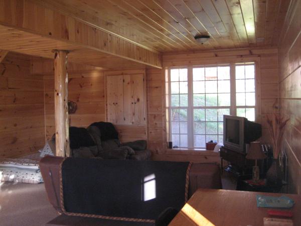Basement with Confortable Seating 
