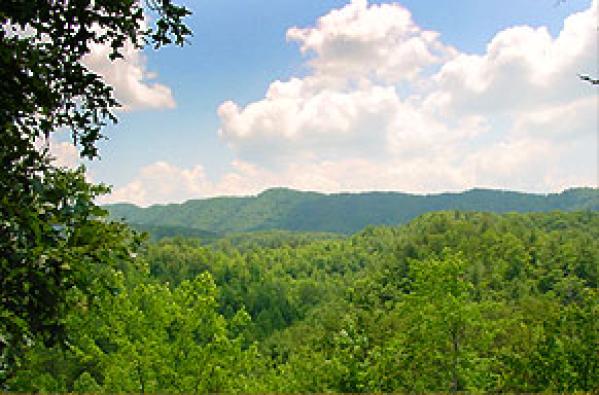 Breath Taking View from Deck