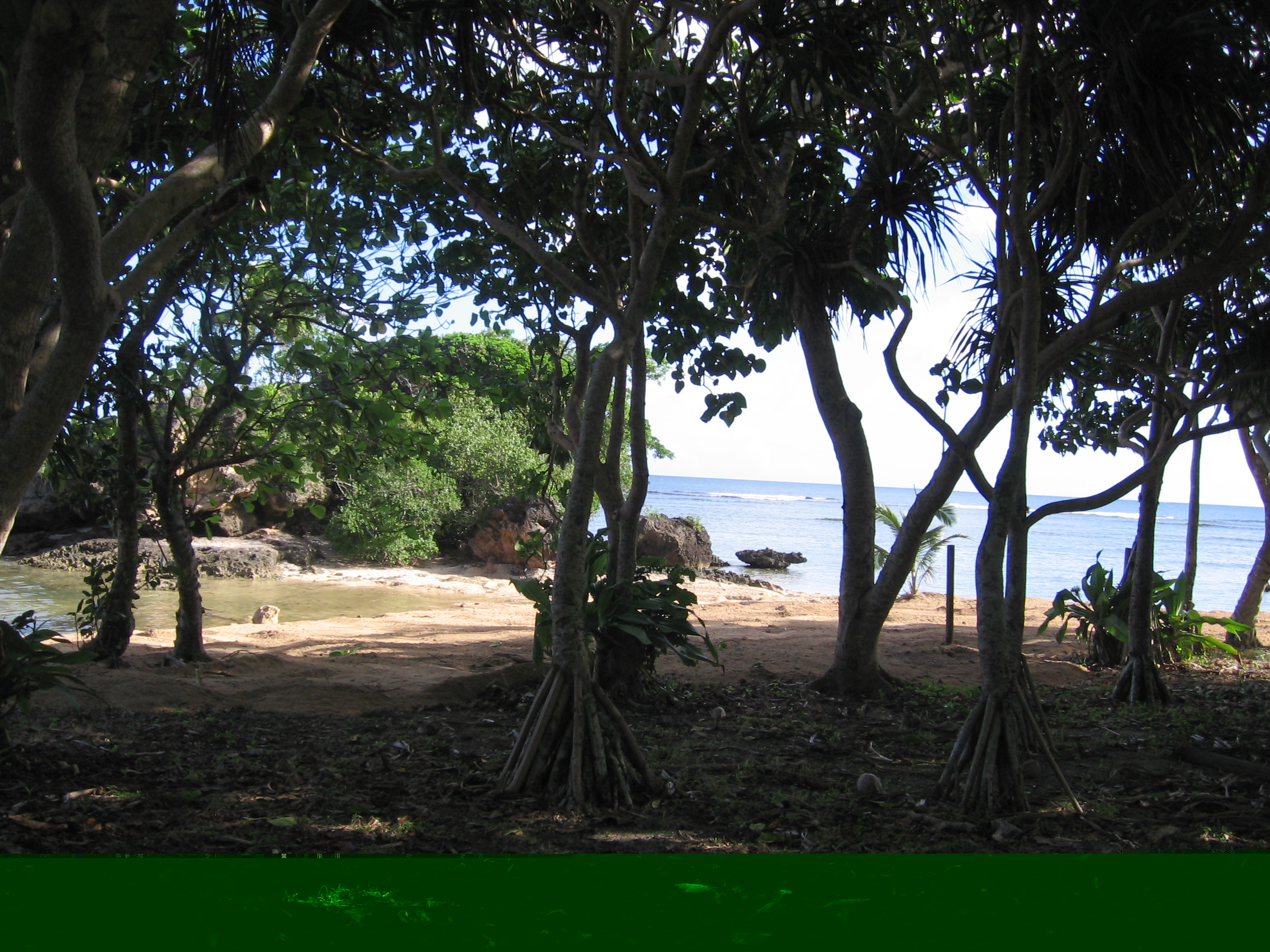 View of Beach from Outdoor Bure