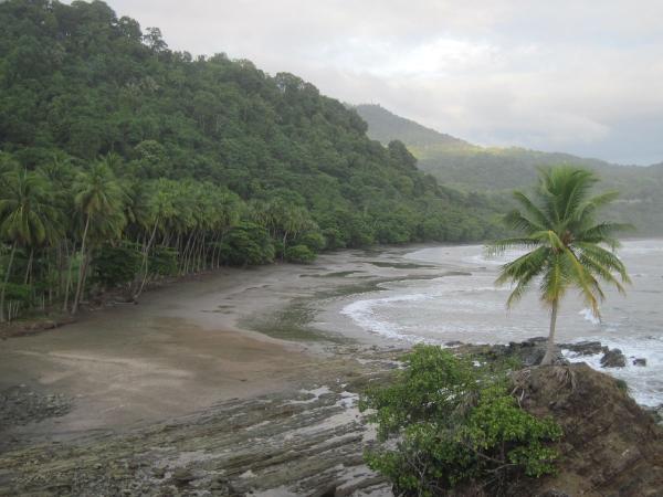 Playa Dominicalito below the villa to enjoy