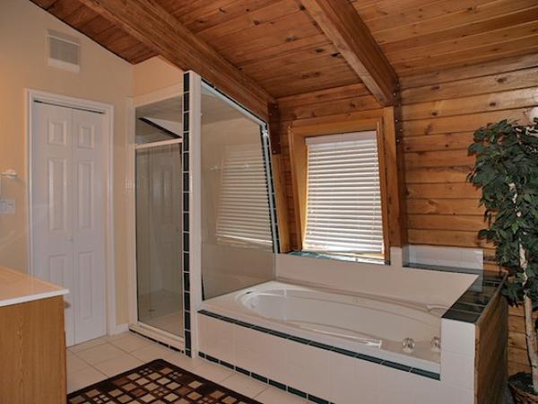 Master Bathroom (open to room)