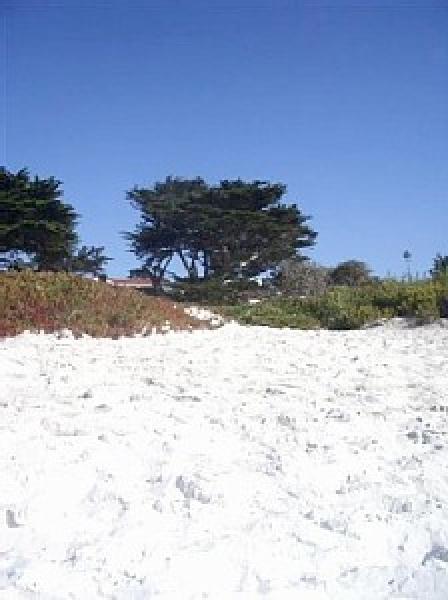 Nearby Carmel Beach