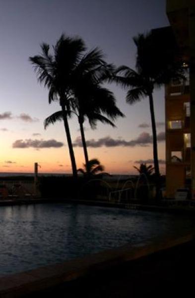Evening View 