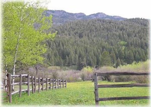Views of the Bridger Mountains 