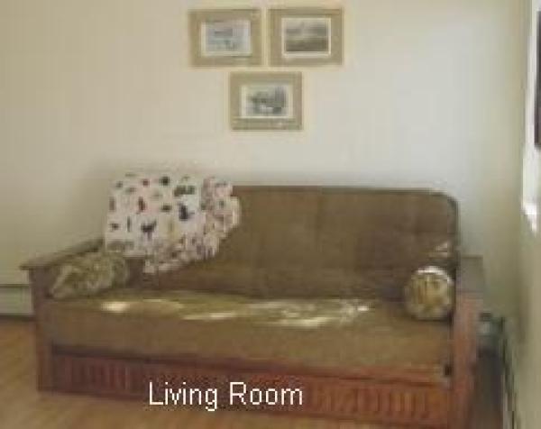 Living Room with Full size Futon