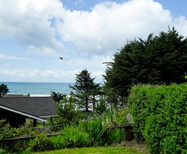 View from the House