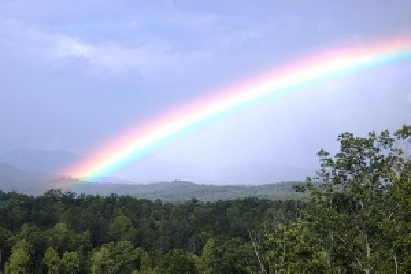 Murphy, North Carolina, Vacation Rental Cabin