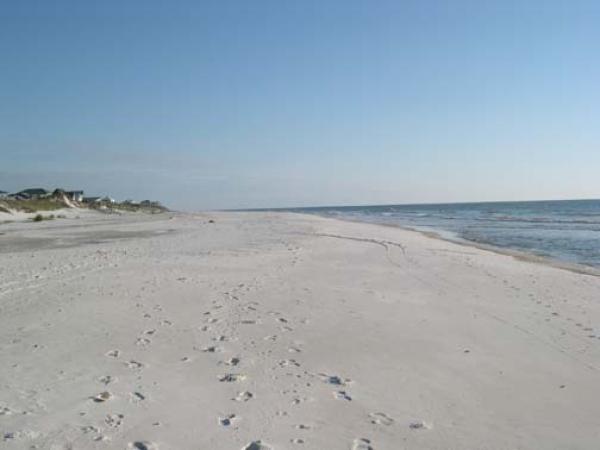 Add your Footprints to this Glorious Pet Friendly 