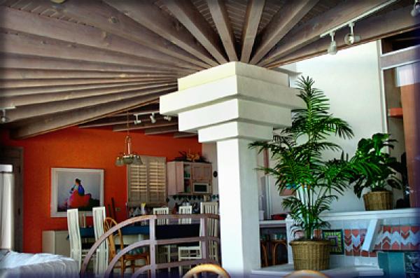 Vaulted Ceilings