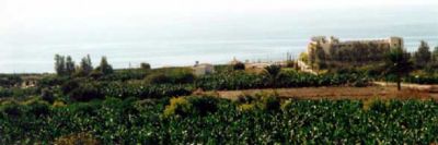 View of sea