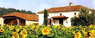 Cottage La Rivi&egrave;re de Perricard - rear view