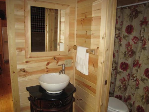 Asheville, North Carolina, Vacation Rental Cabin